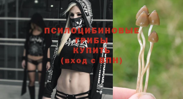 синтетический гашиш Алексеевка